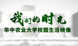 校园生活 独家爆料官网