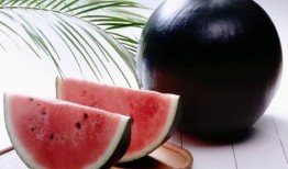 黑料-今日黑料 吃瓜是什么意思,网络热词背后的文化现象